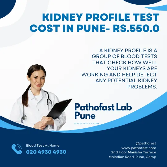 Kidney Profile  Cost in Pune