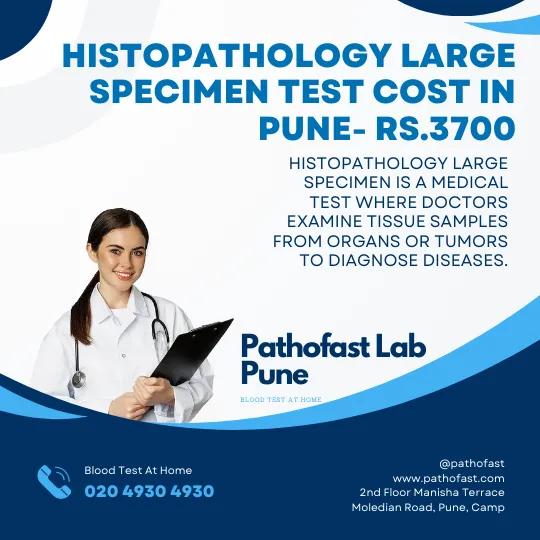 Histopathology Large Specimen Cost in Pune