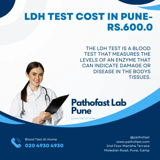 LDH Test Cost in Pune
