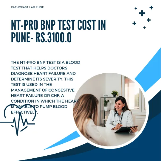 NT-Pro BNP Test Cost in Pune