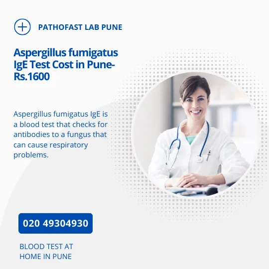 Aspergillus fumigatus IgE Cost in Pune