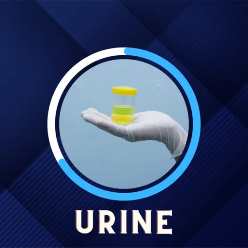 Blood Tests at home for urine in Pune