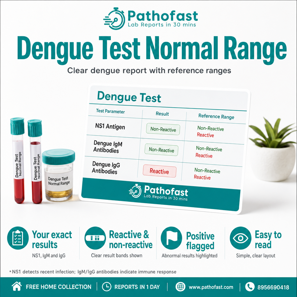 Dengue Test in Pune 