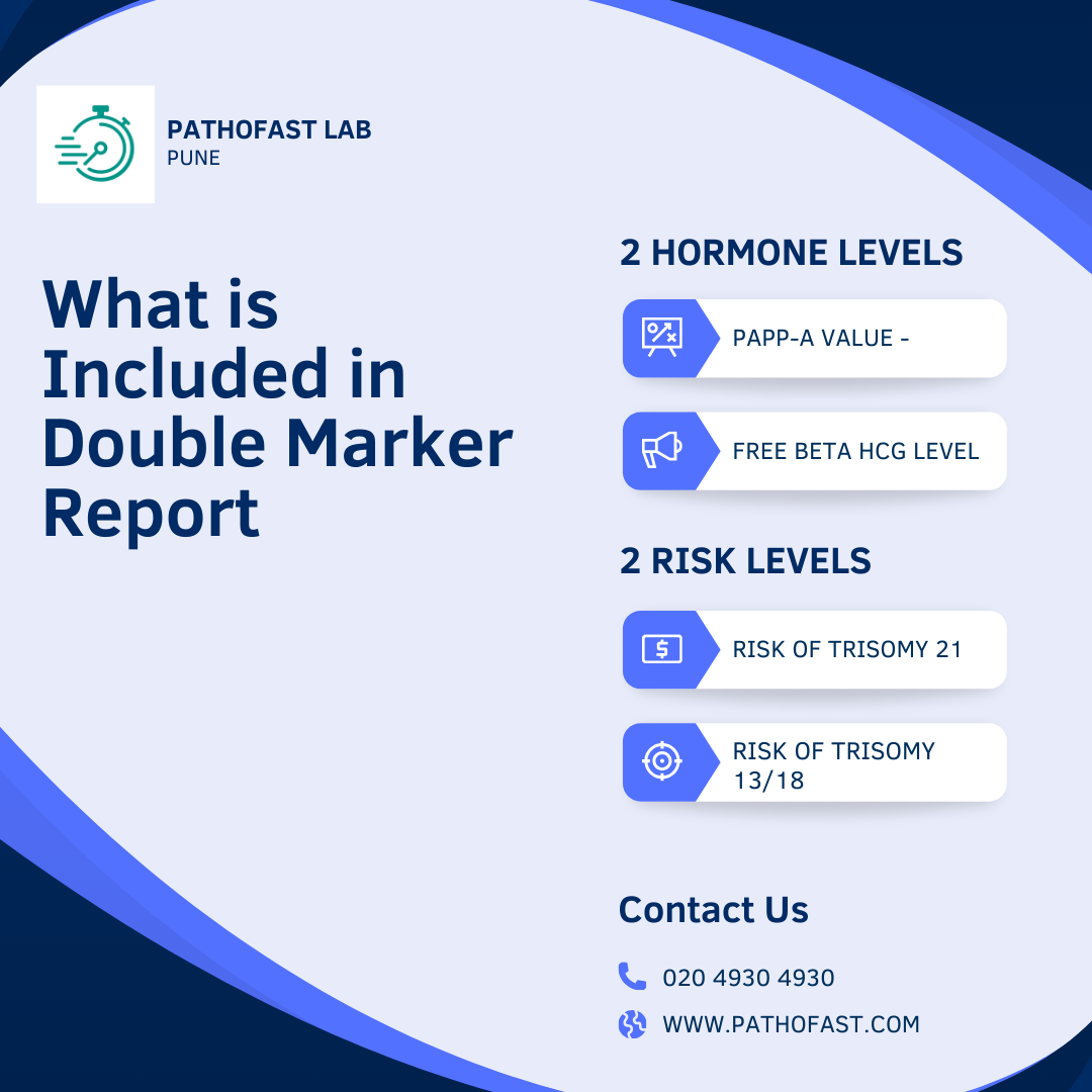 Components of Double Marker Test Report