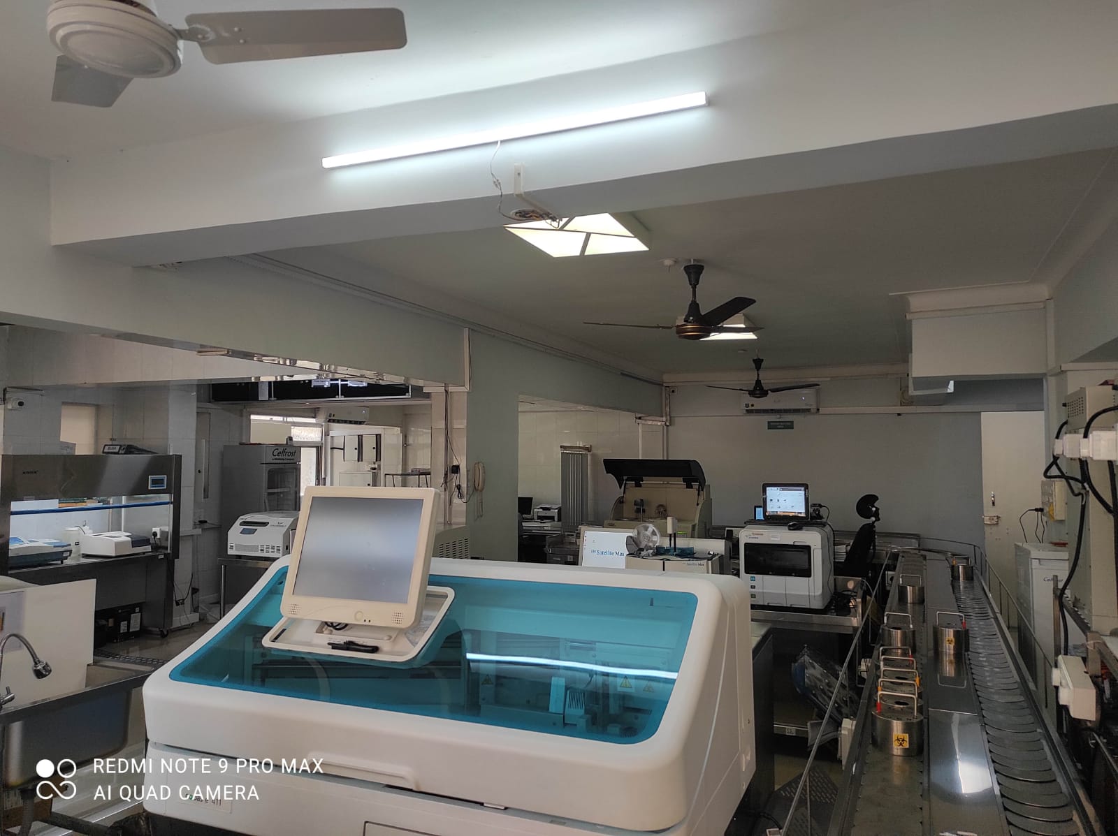 Blood Testing in Pune Blood Test in Pune